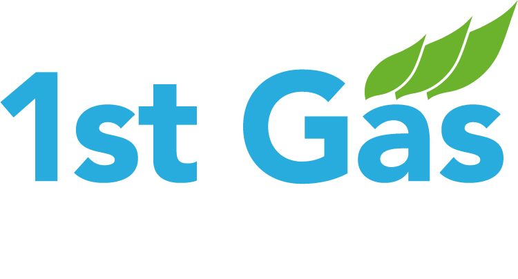 1st Gas Engineers Ltd Logo